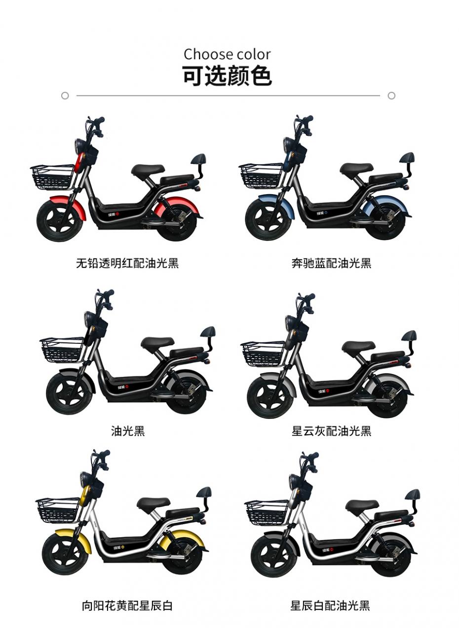 绿能新极客标准版q电动车新国标可以上牌的【官网直营-全国各品牌